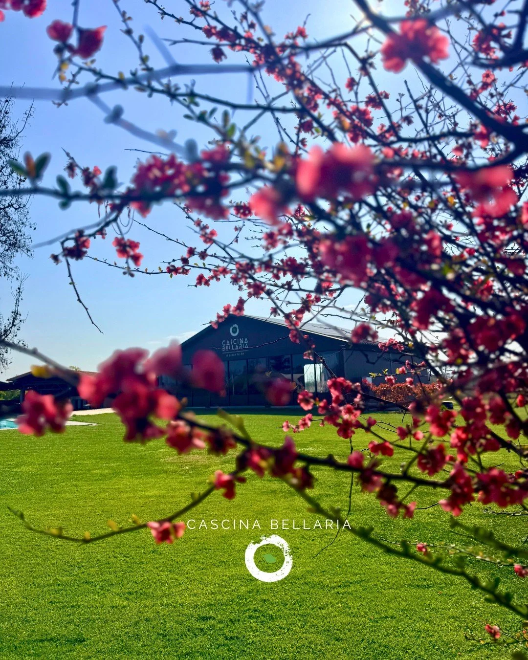 🌸 LA CASCINA RIAPRE! 
Tavoli pieni, musica che gira, bicchieri che si alzano e piatti gustosi.
Chi viene vuole stare insieme, mangiare bene e bere qualcosa fatto come si deve.

Noi siamo pronti!

📍 Gio &bull; Ven &bull; Sab &rarr; 19:00 &ndash; 23: