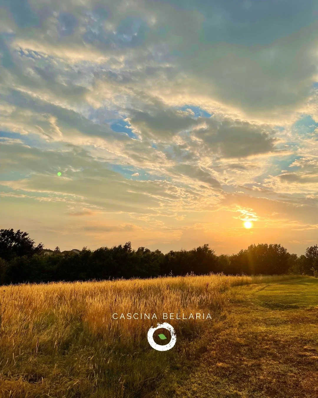 ✨ QUESTA SETTIMANA A CASCINA BELLARIA

🔥 GIOVED&Igrave;, VENERD&Igrave; E SABATO
aperti con ristorante, pizzeria e pub dalle 19:00 alle 23:30

🎶 Sabato Sera
CONCERTO LIVE DI THOMAS GREENWOOD &amp; THE TALISMANS
👉 Info: Link in bio

🔥 DOMENICA A P