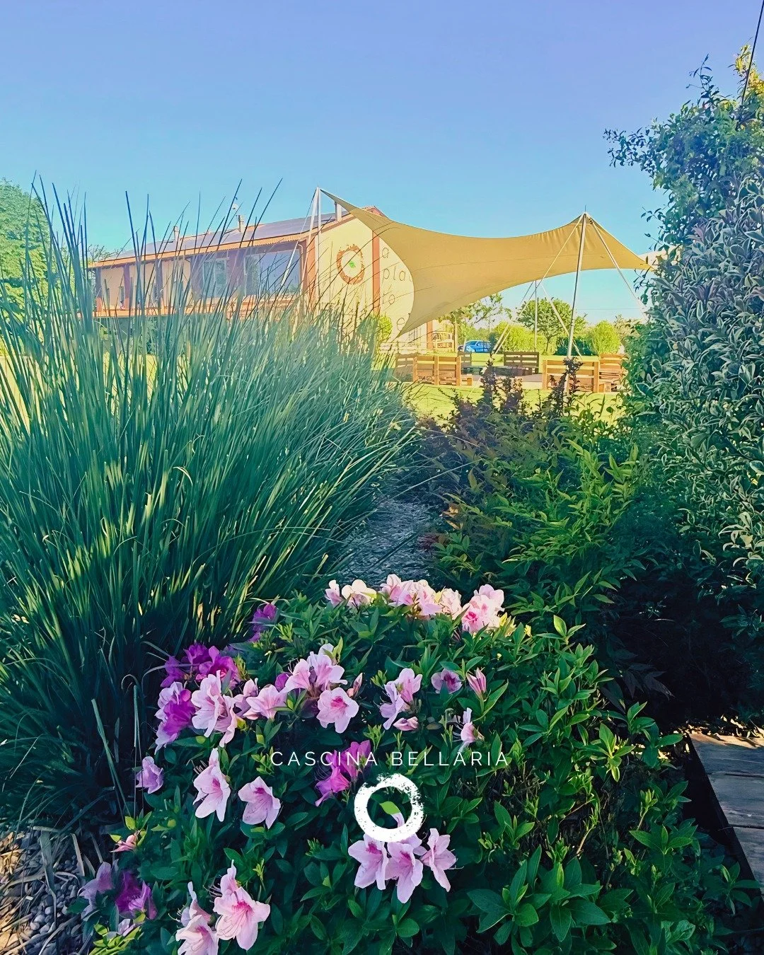 🎉 DA QUESTA DOMENICA SI VIVE ALL&rsquo;APERTO!
Il bar e il ristorante si spostano in giardino, tra prato, piscina e tutta l&rsquo;atmosfera della Cascina.
Apertura dalle 12.00 alle 22.30

🏊 Ingresso &euro; 8 con accesso a piscina e giardino
🧘🏼&zw