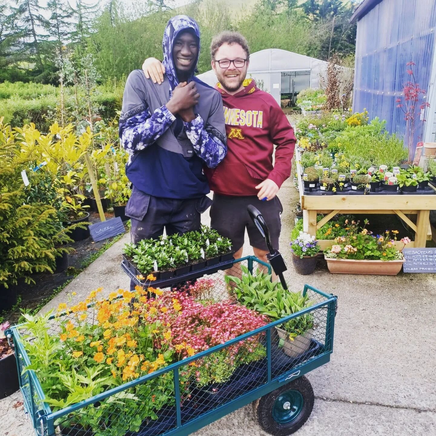 🌼 Our garden is looking awesome and all ready for summer to (finally) make an appearance, thanks to AJ and his green fingers! 🌼