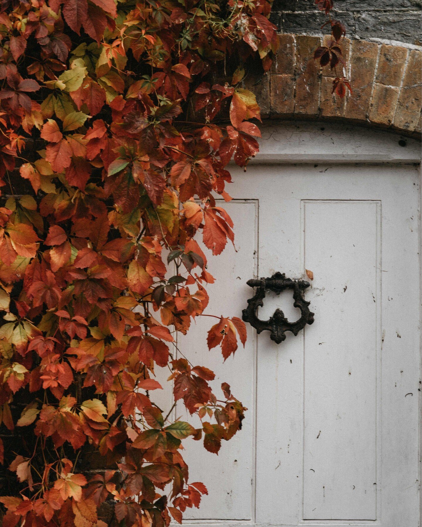 We have recently started a blog page over on our website where we will be sharing all of our tips and tricks for everything garden and design!

This month it&rsquo;s all about &ldquo;Autumn Colours in Your Garden&rdquo;&hellip; Read it to find out ho