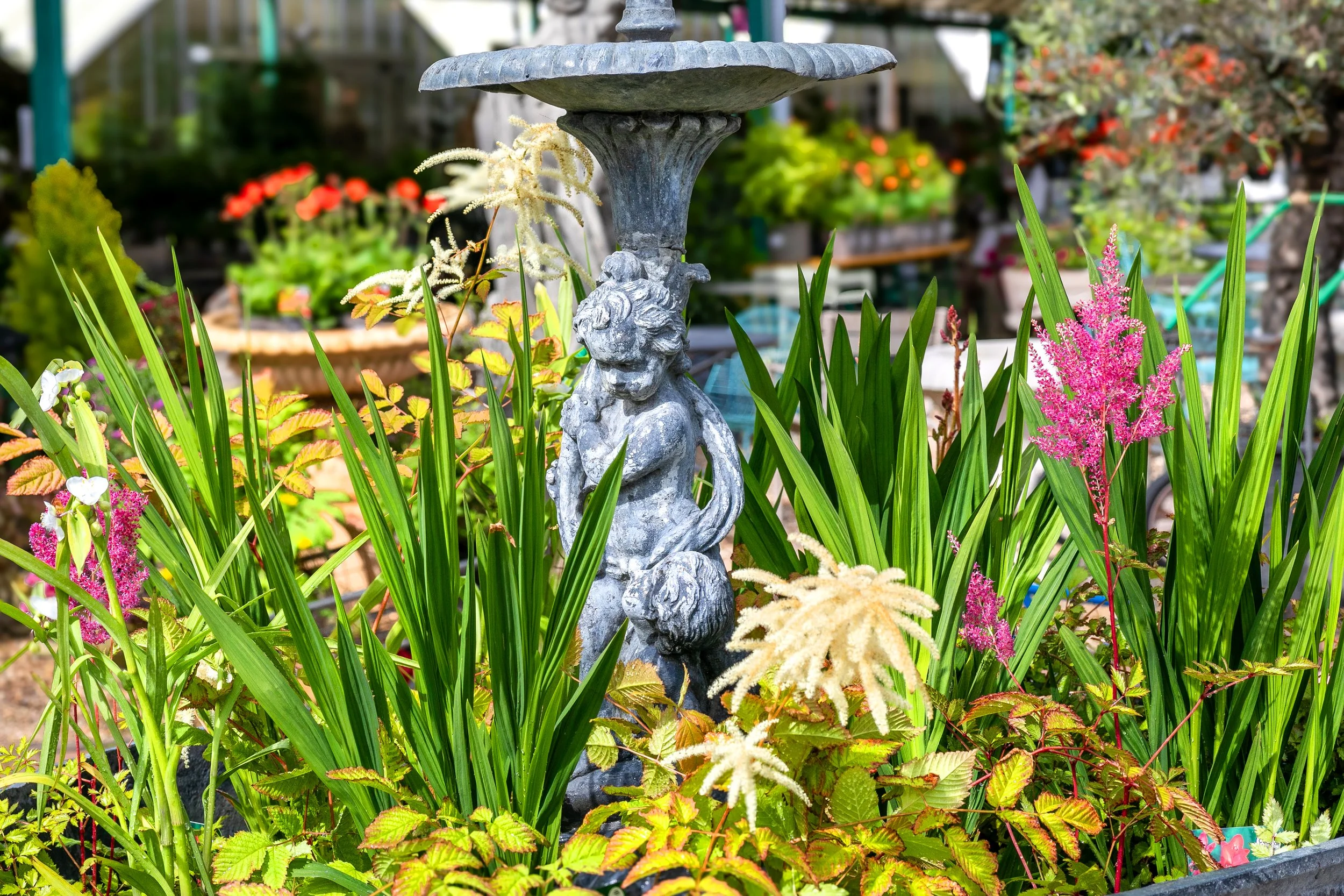 Keeping your garden thriving in cooler summer weather