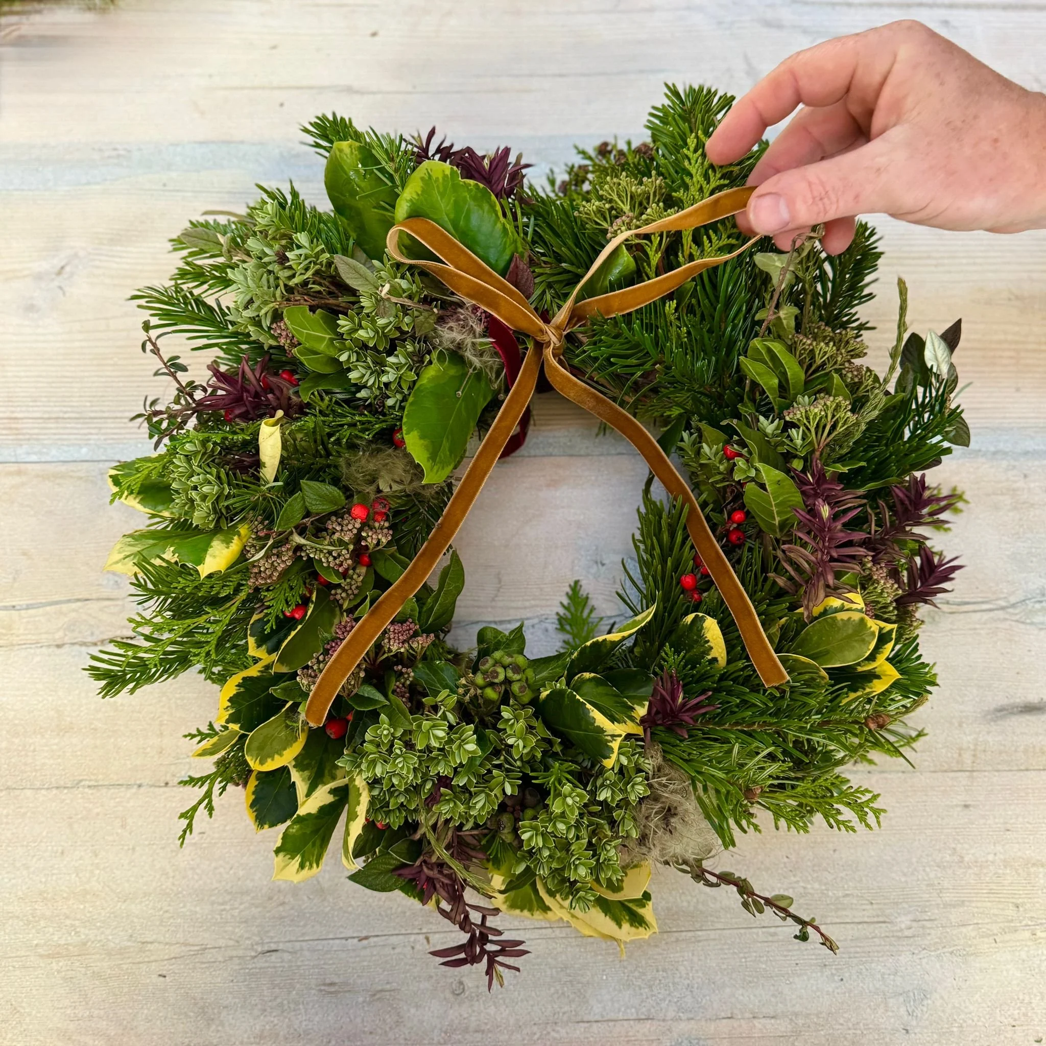 How to Make a Christmas Wreath at Home Using Foliage From Your Garden