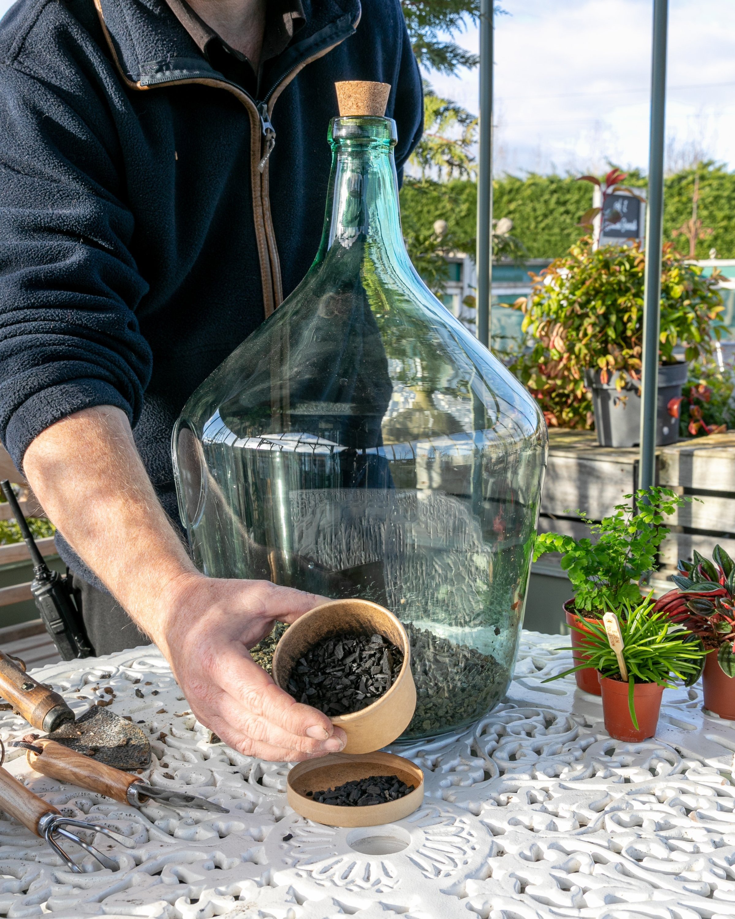 to: Make your terrarium — Wellington Home and Gardens