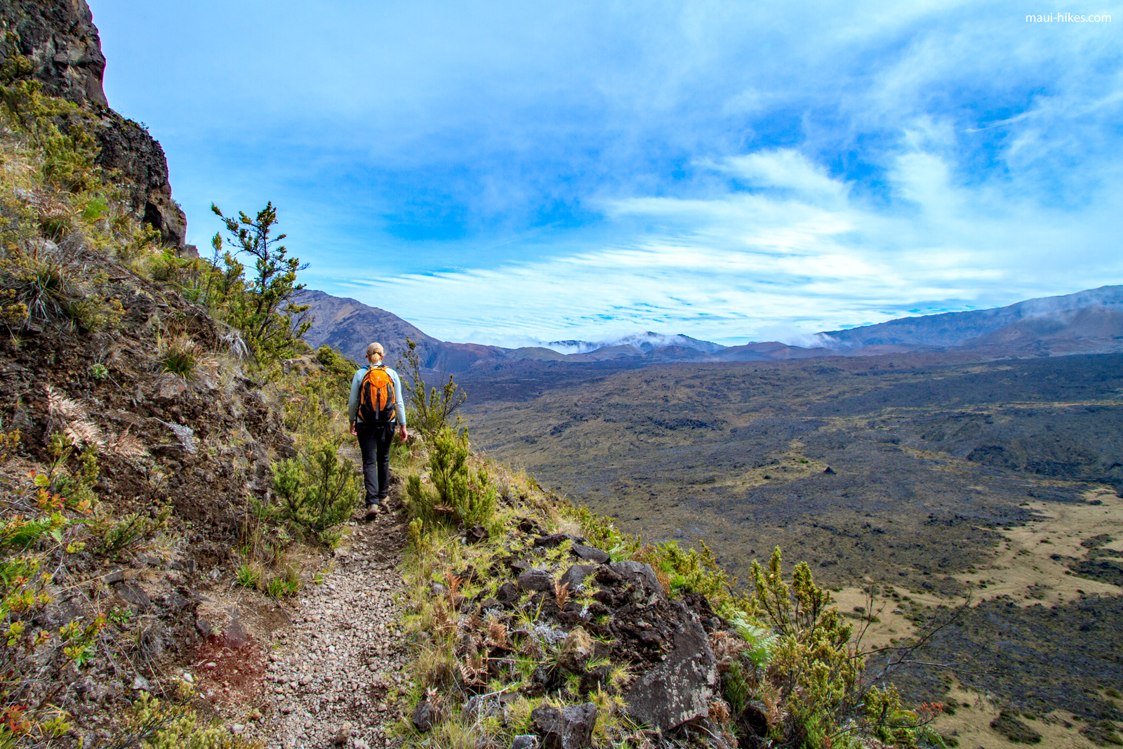 Halemau'u Trail