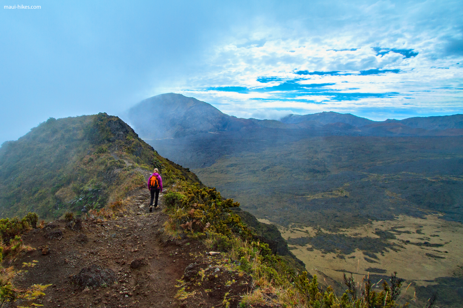 Halemau'u Trail