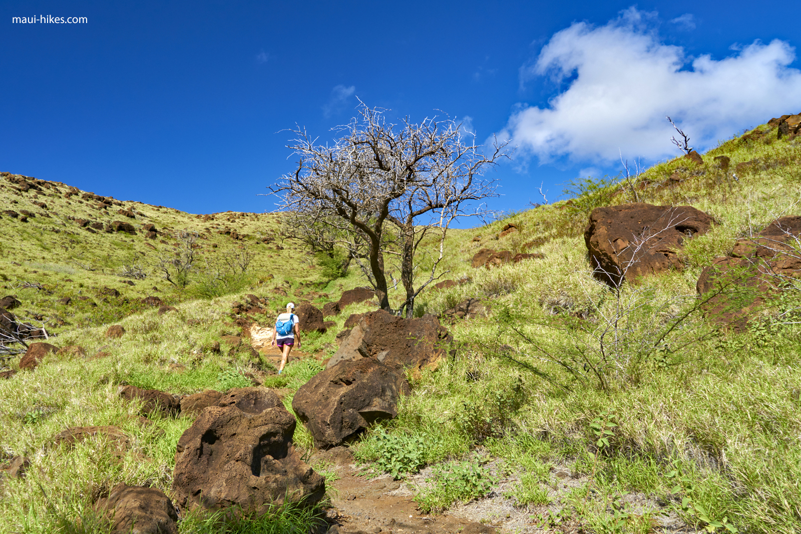 Lāhainā Pali Trail