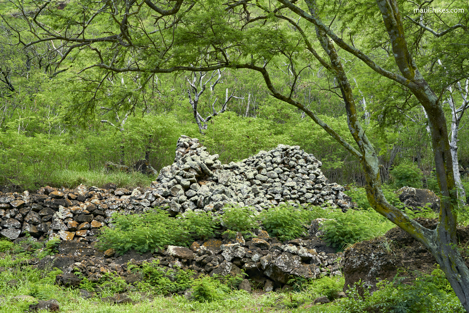 Launuipoko Valley