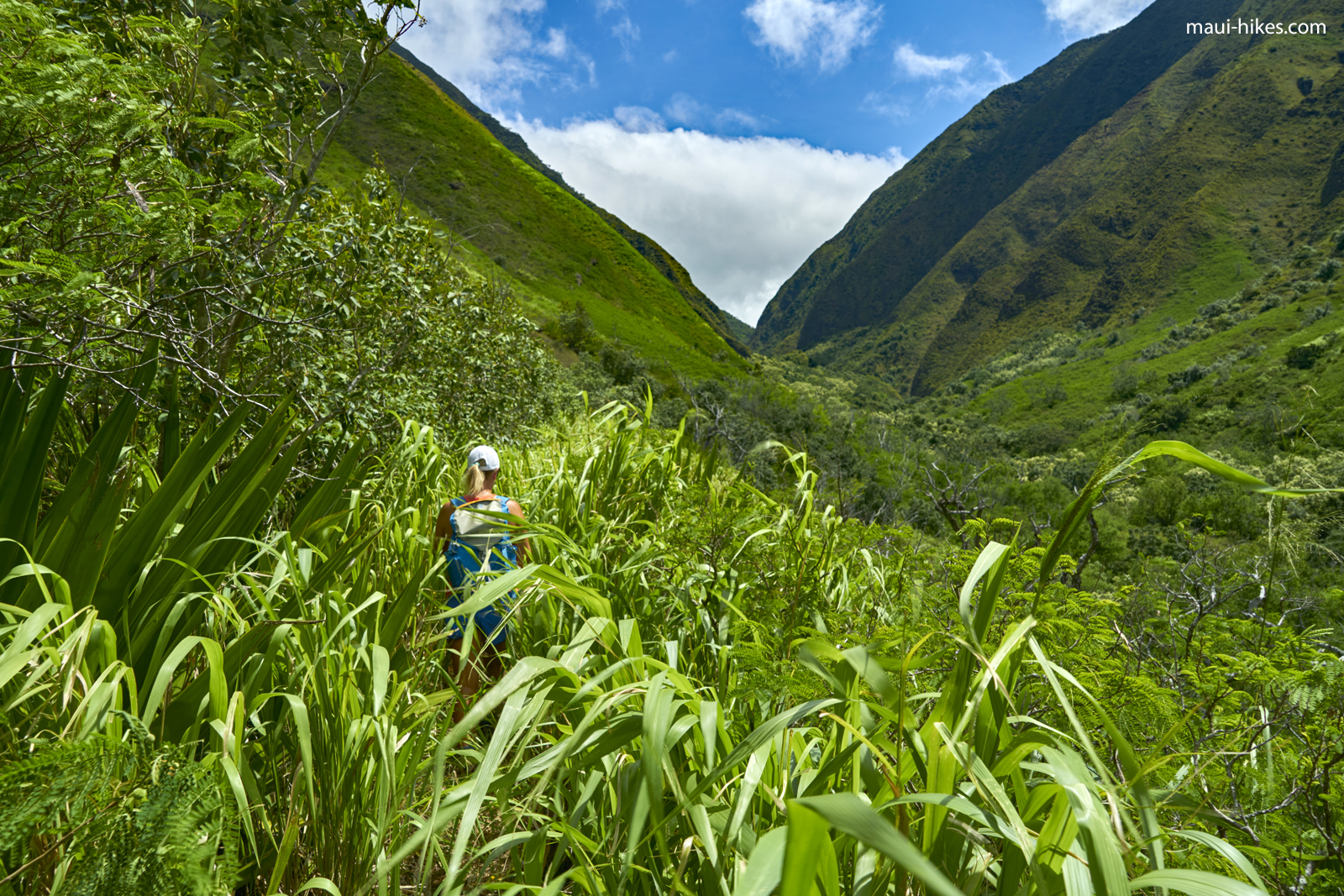 Launuipoko Valley