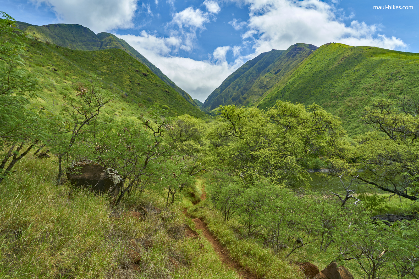 Launuipoko Valley