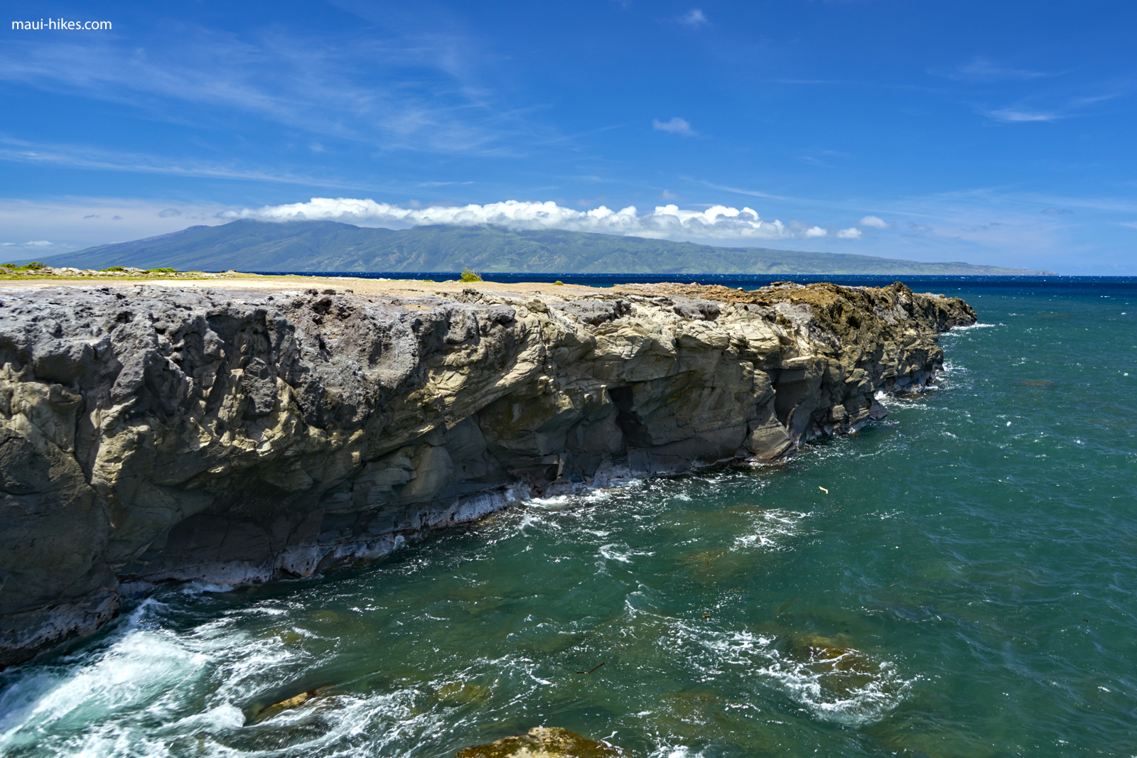 The Dragon's Teeth