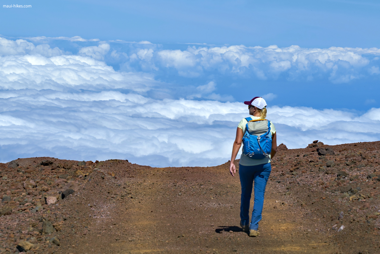 The Skyline Trail