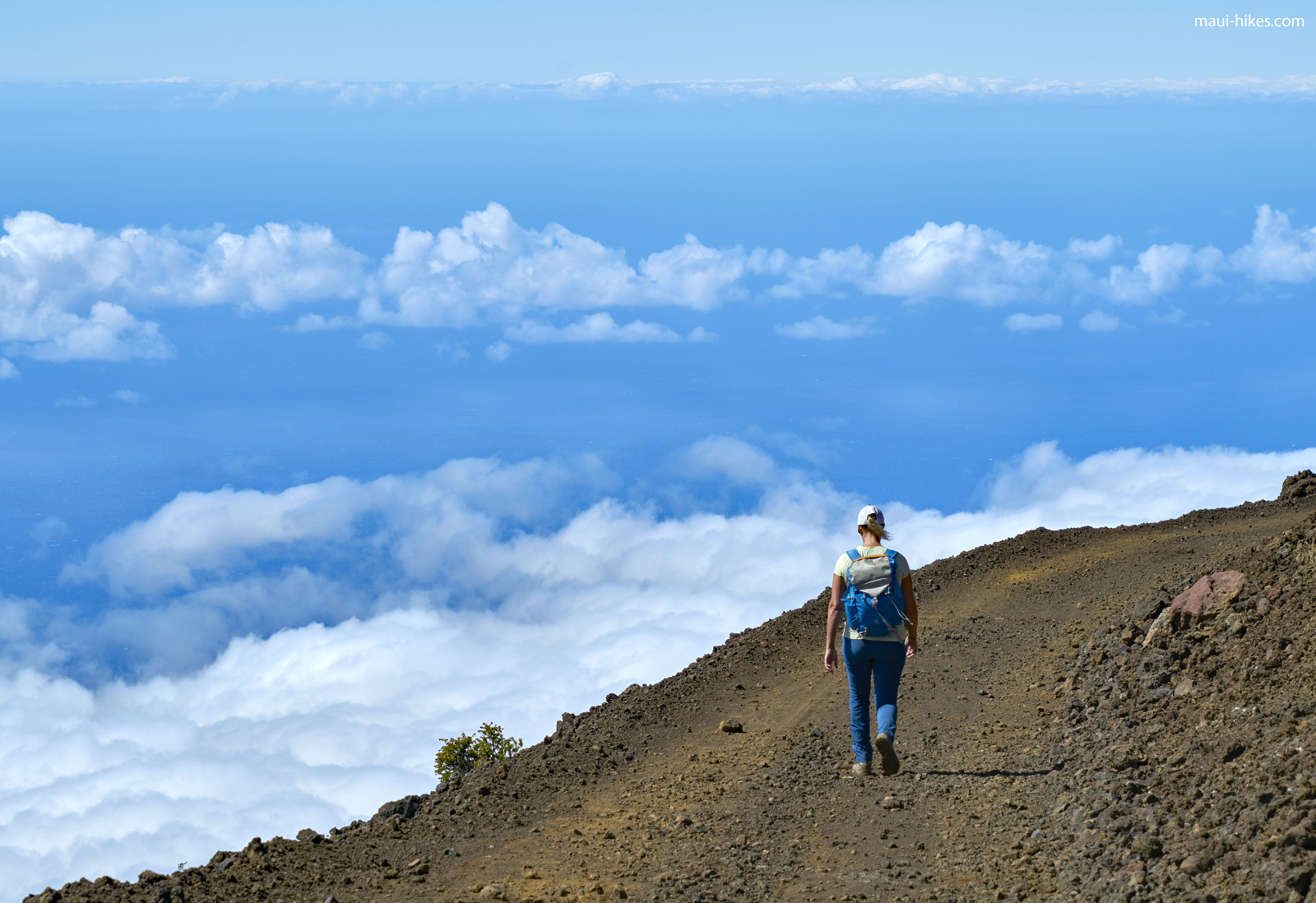 The Skyline Trail