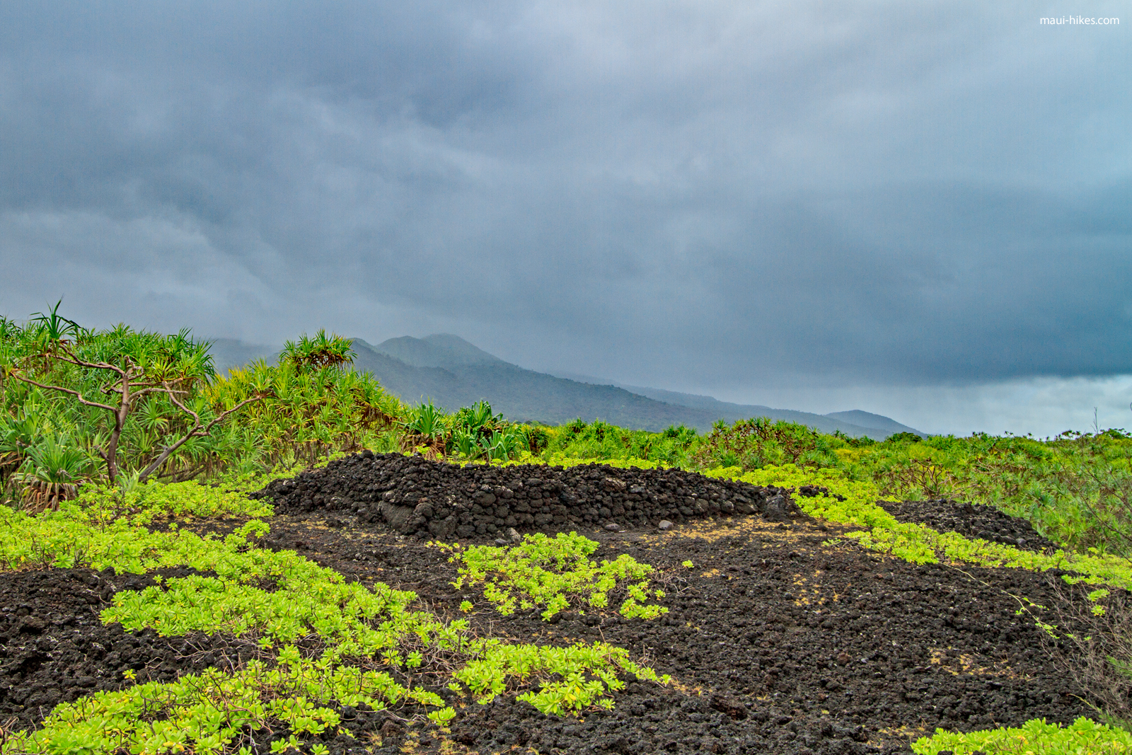 Wai’ānapanapa State Park