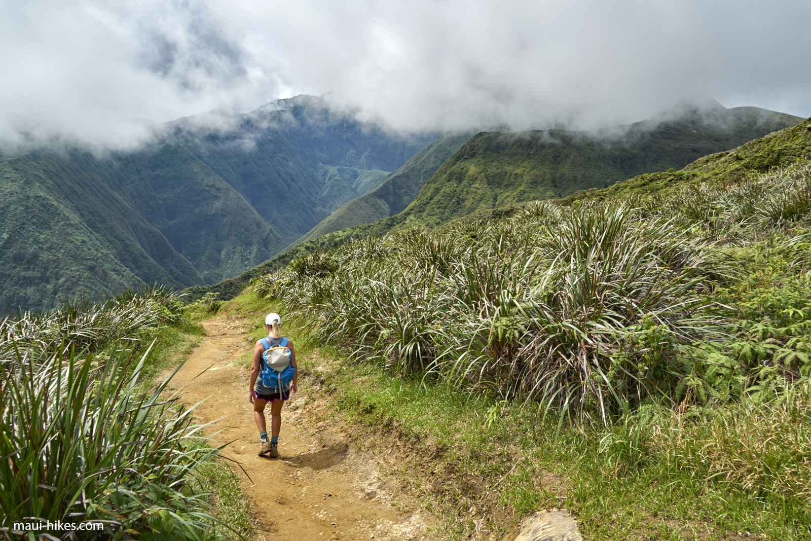 Waihe'e Ridge Trail