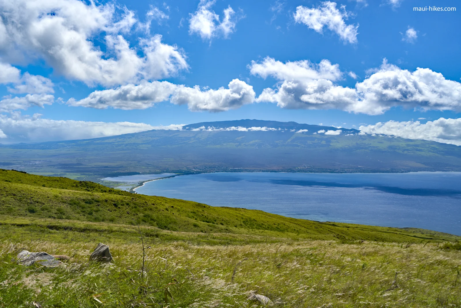 Lahaina Pali Hike View.jpg