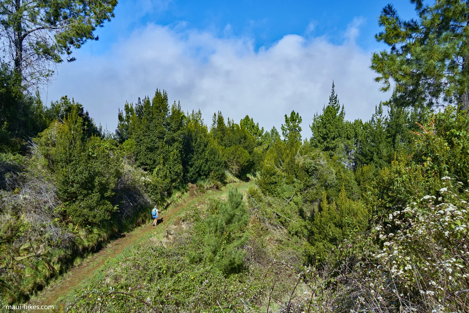 boundary trail polipoli.jpg