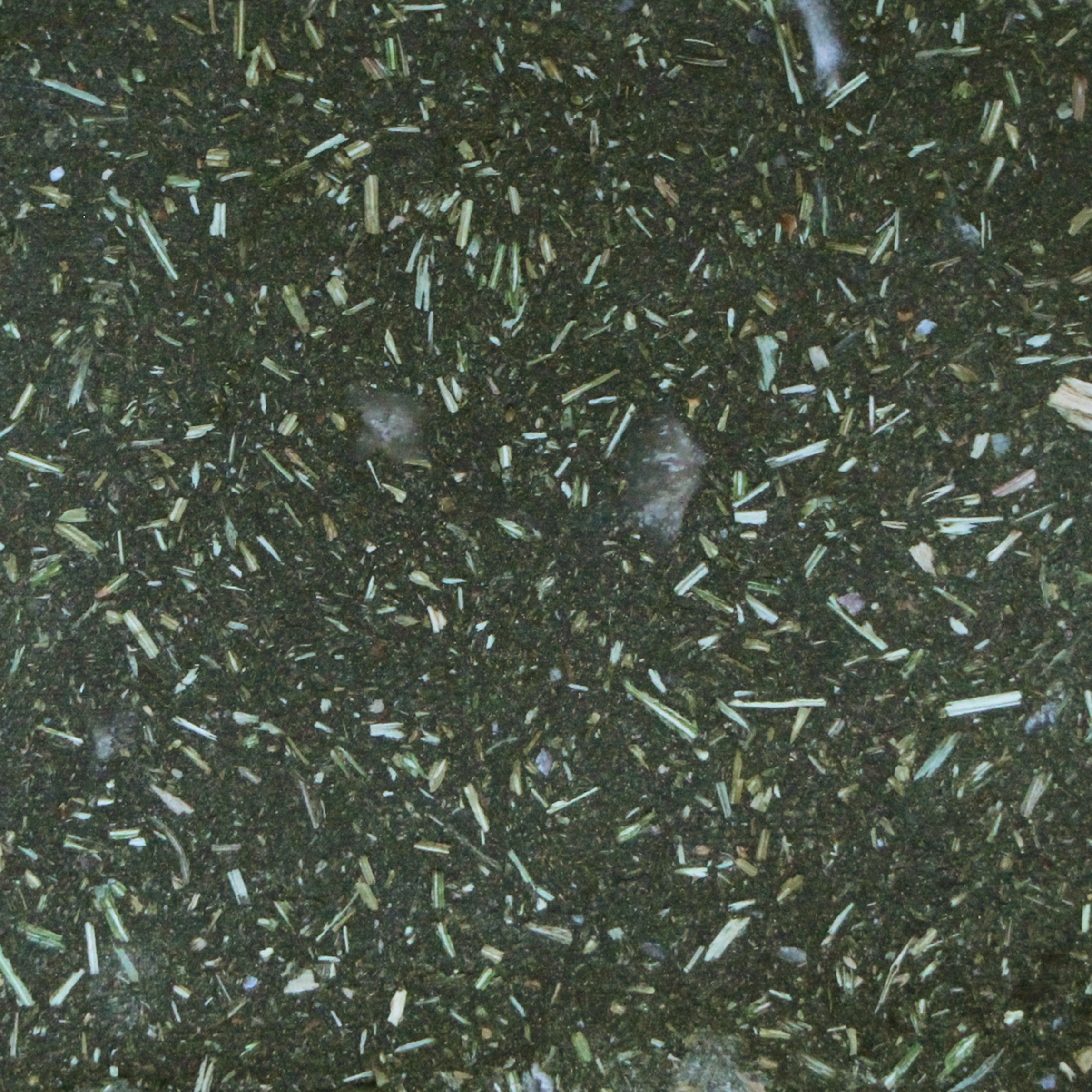 nettles.jpg