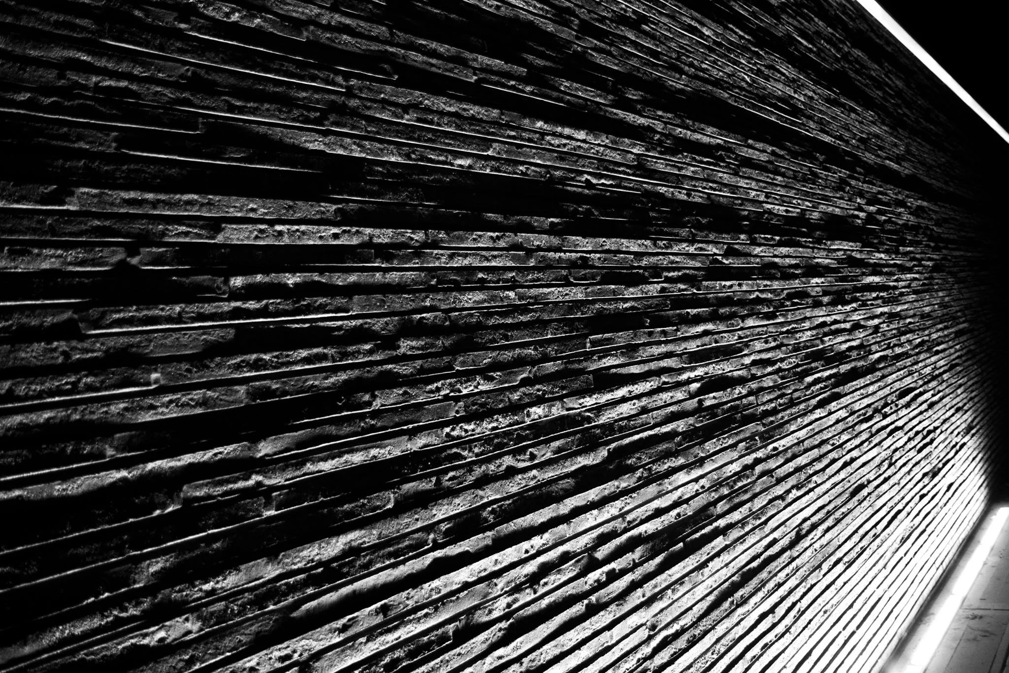 12491756_10104582268778439_3323950974133031067_o_10104582268778439.jpg