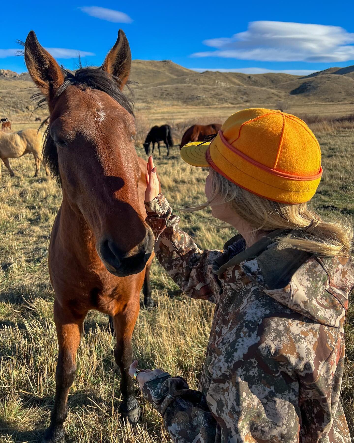 Final Wyoming post! 😍 It was a seriously beautiful few weeks.

#Wyoming #huntingseason #muledeer