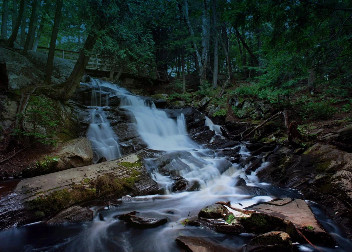 creek-forest-nature-68632-blue.jpg