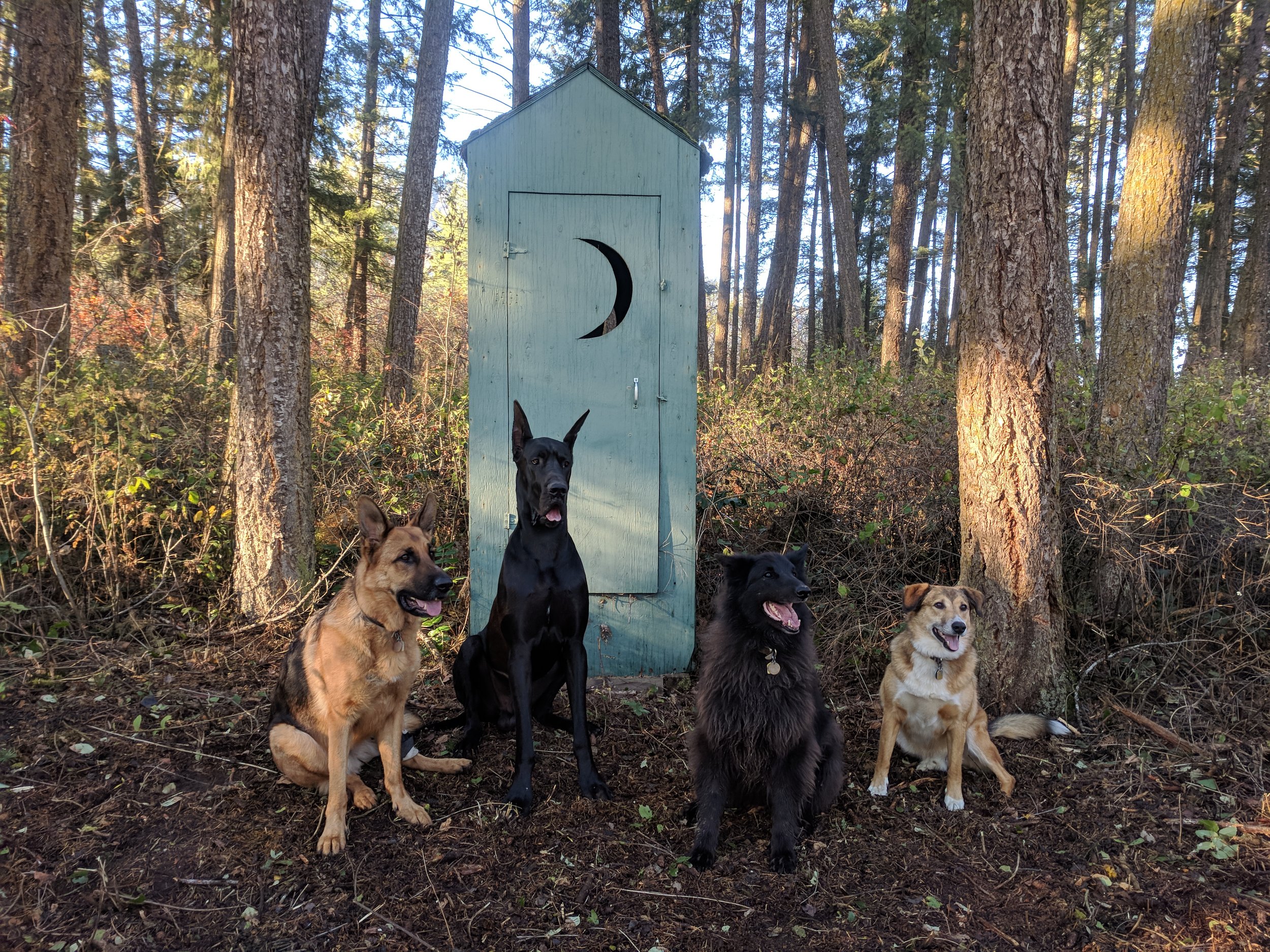 The Outhouse crew: Mako, Zephyr, Gemini, Frodo 