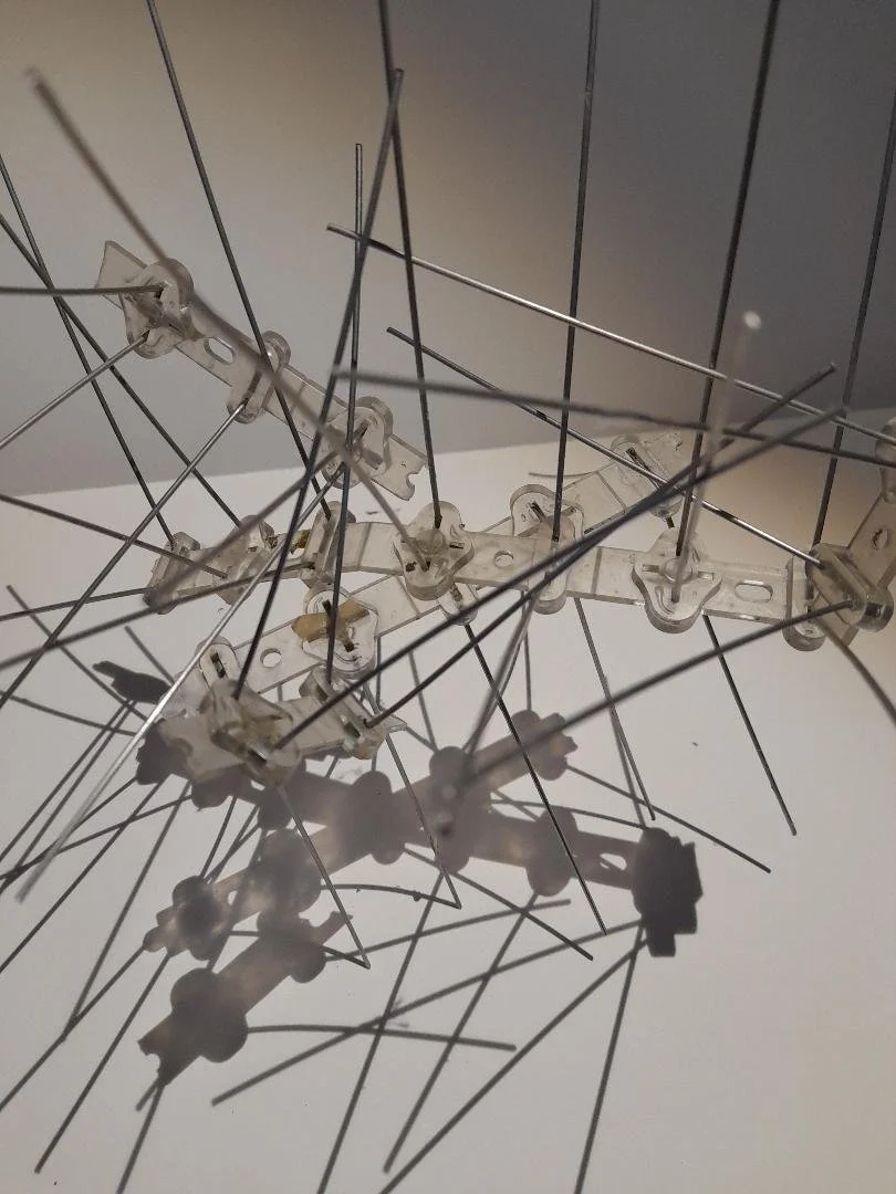 Chris Wright 1 copy.jpeg