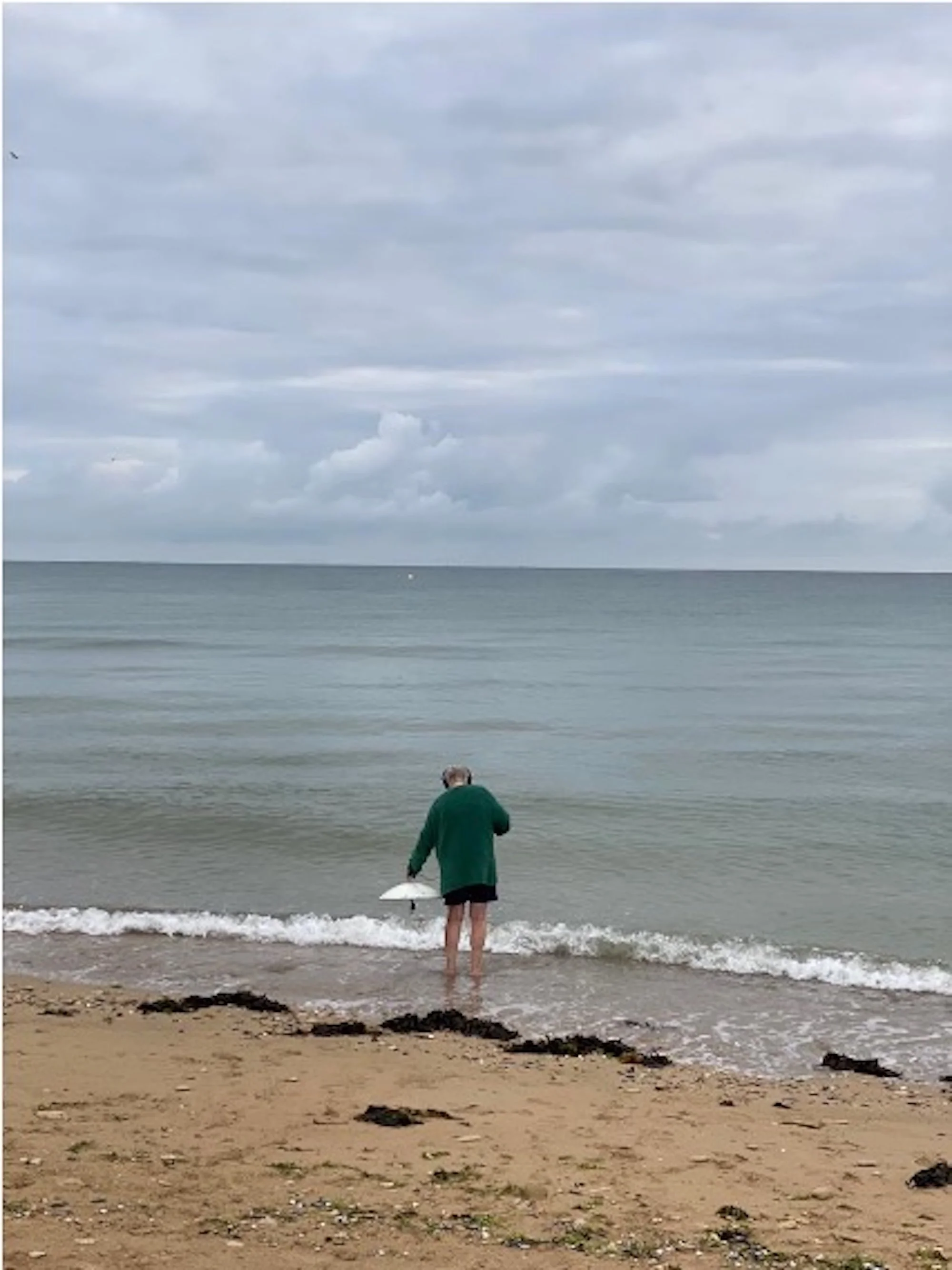 chris lion sur mer yves.jpg