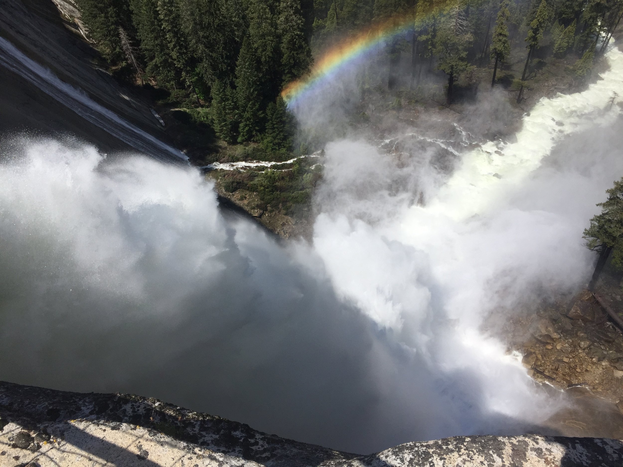 Yosemite. Bears, boulders, and bedrocks.