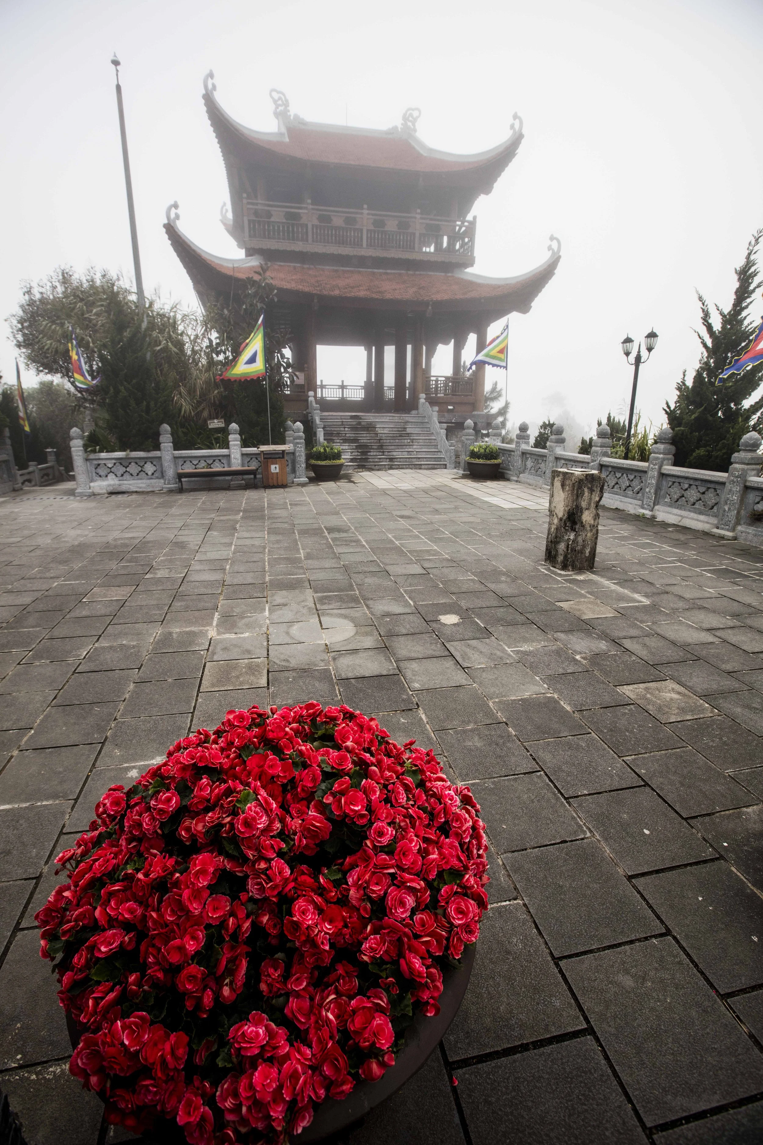 Peace and stillness