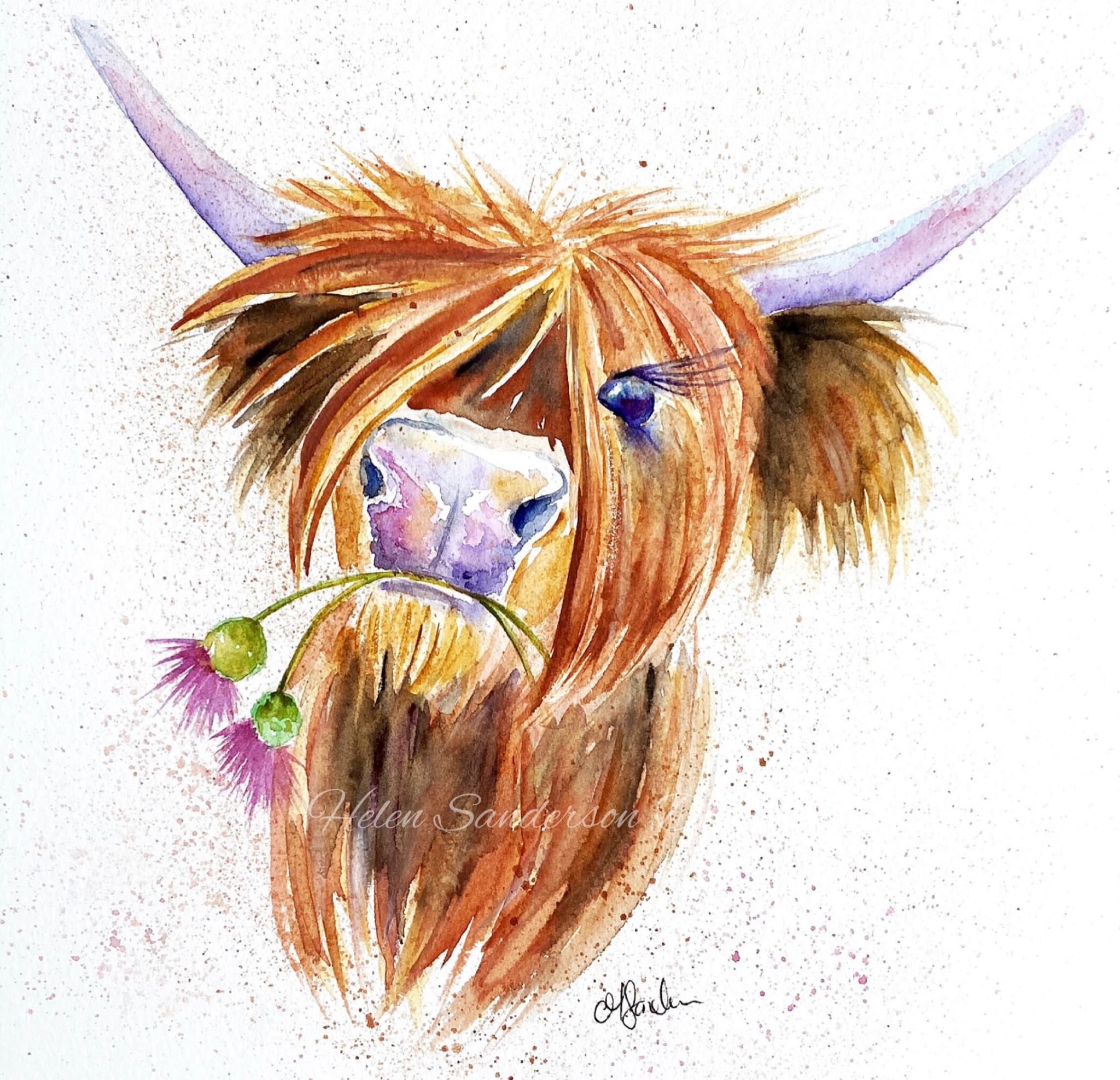 a highland cow painted in water colour