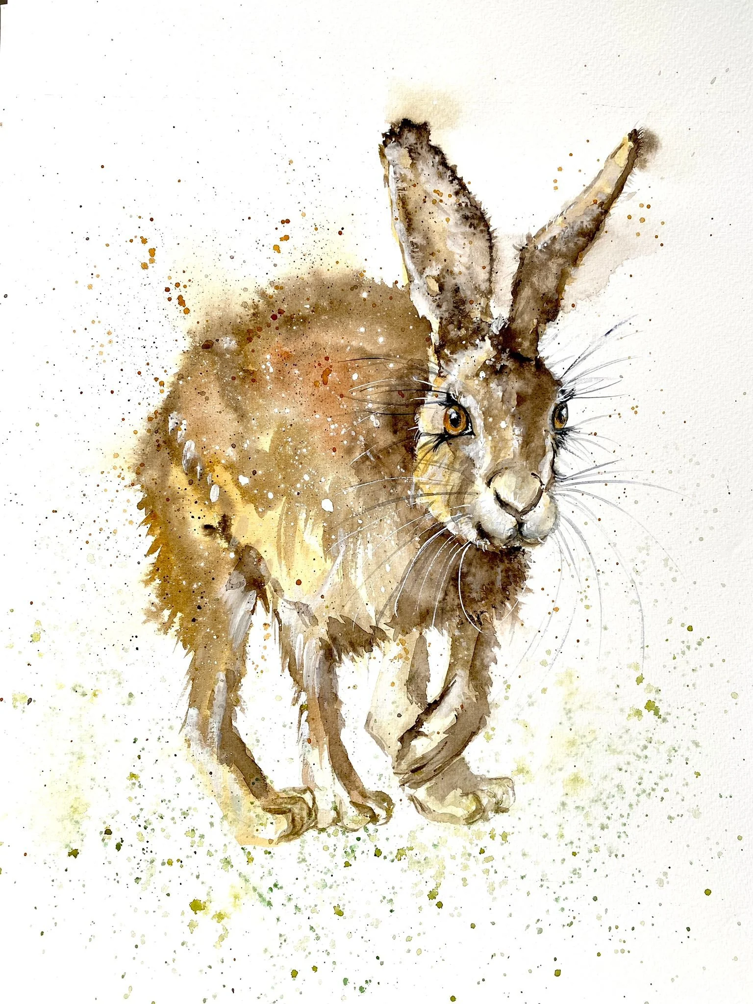 a hare painted in watercolour