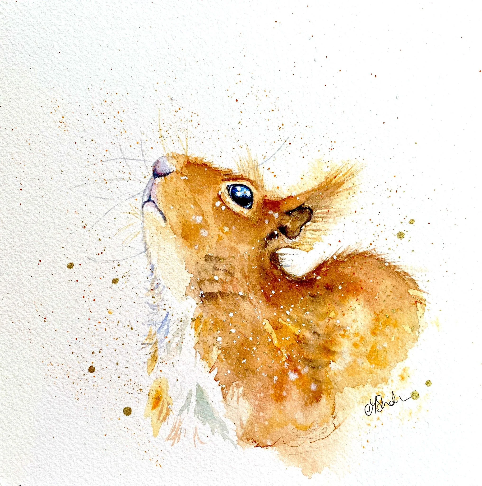 a squirrel painted in watercolours