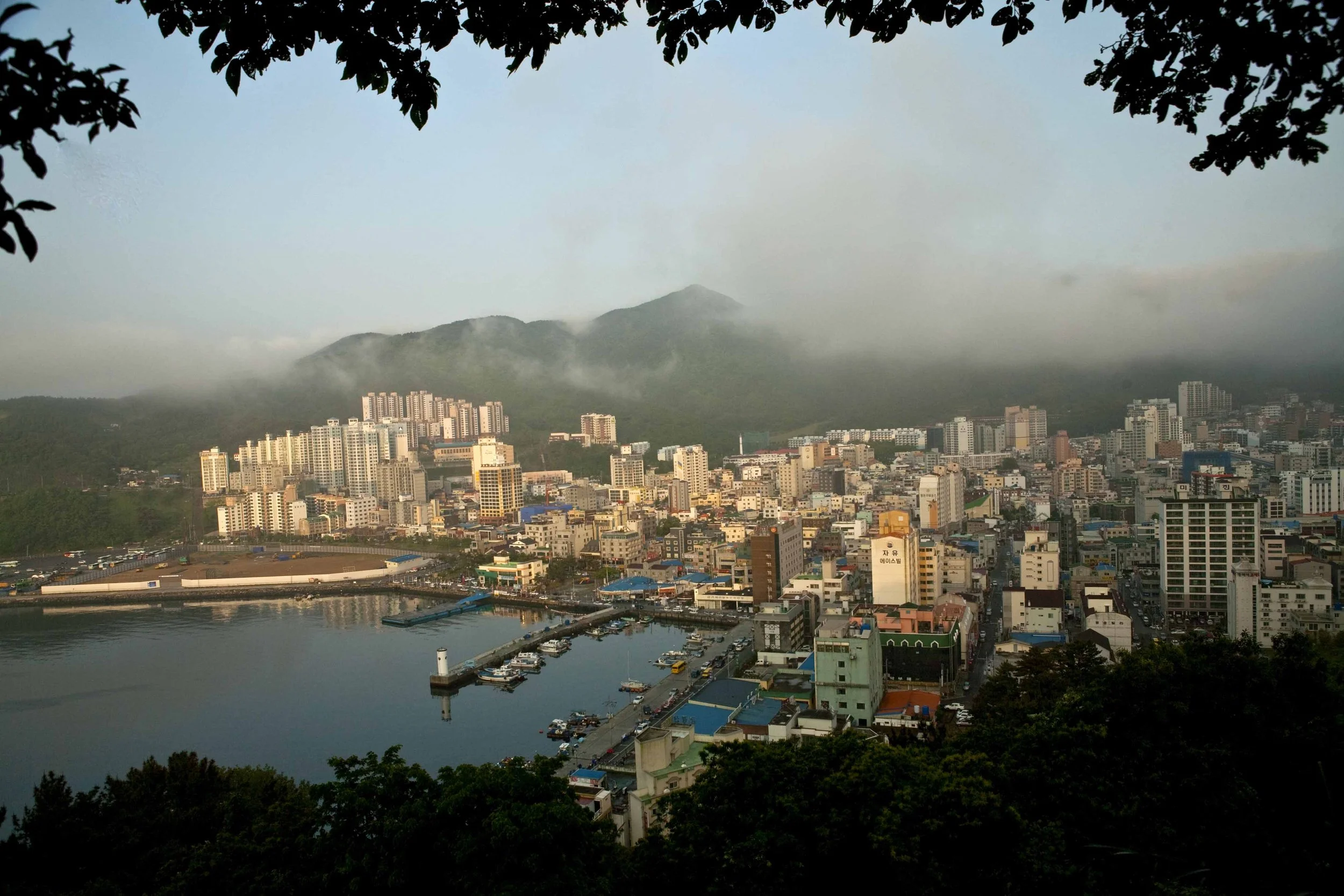 _MG_4211 as Smart Object-1.jpg