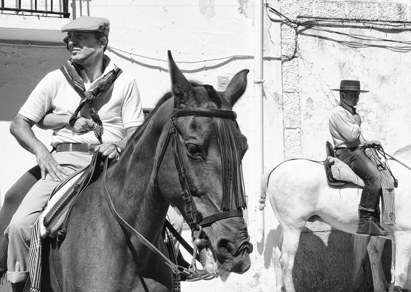 Romeria small.jpg