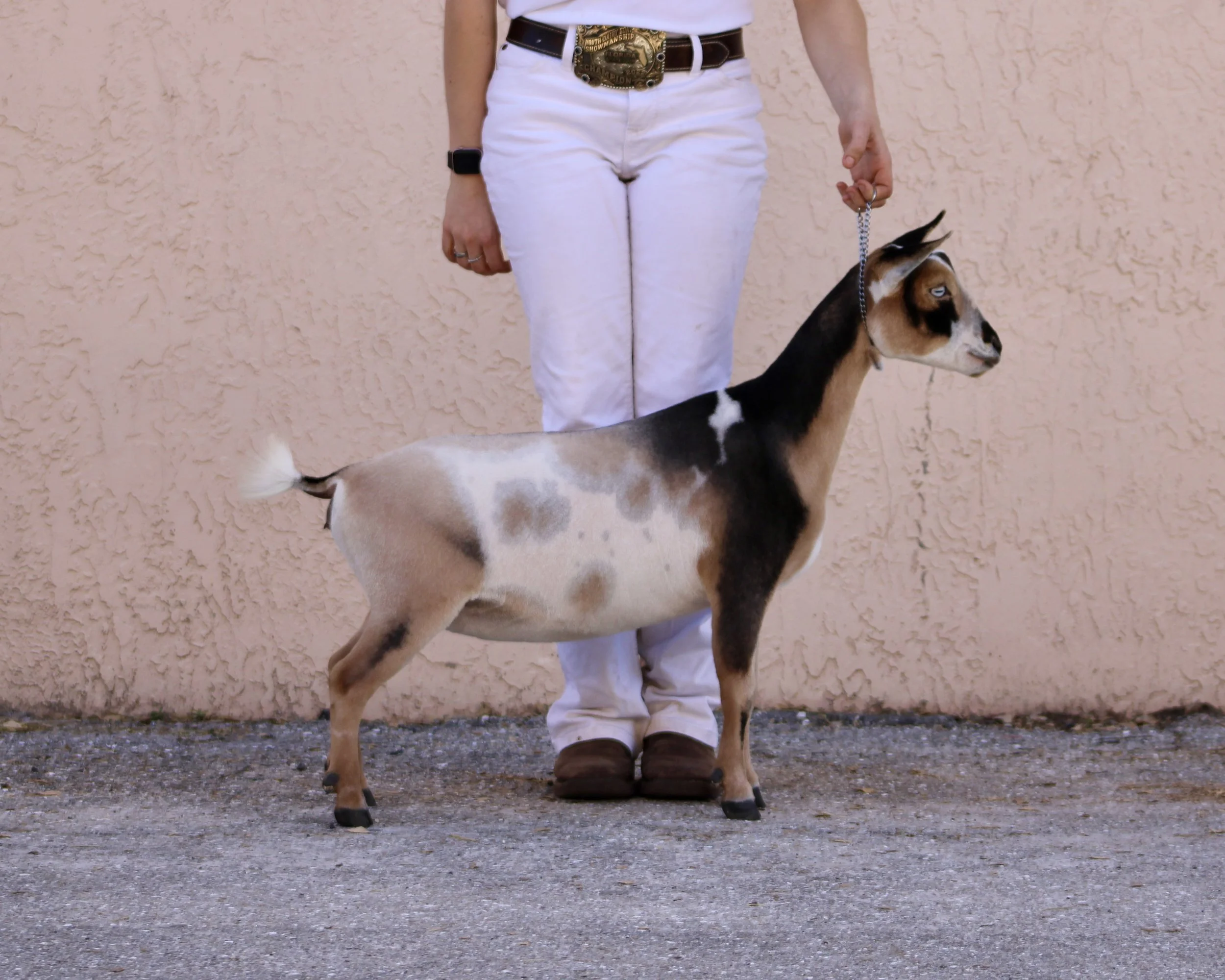 Sunny Jr.jpg