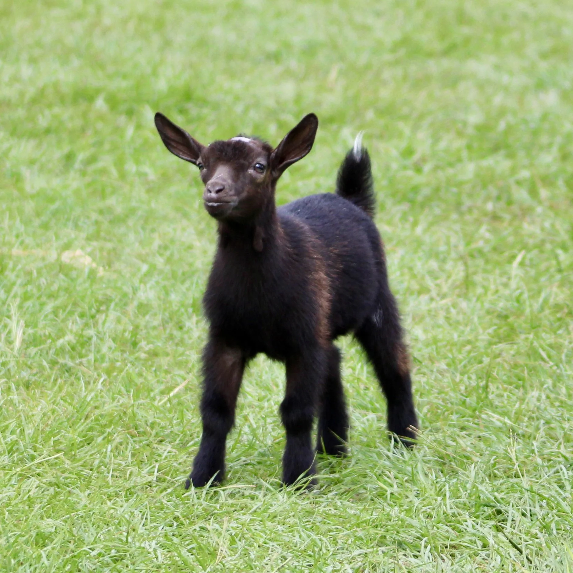 Margo kid front.jpg
