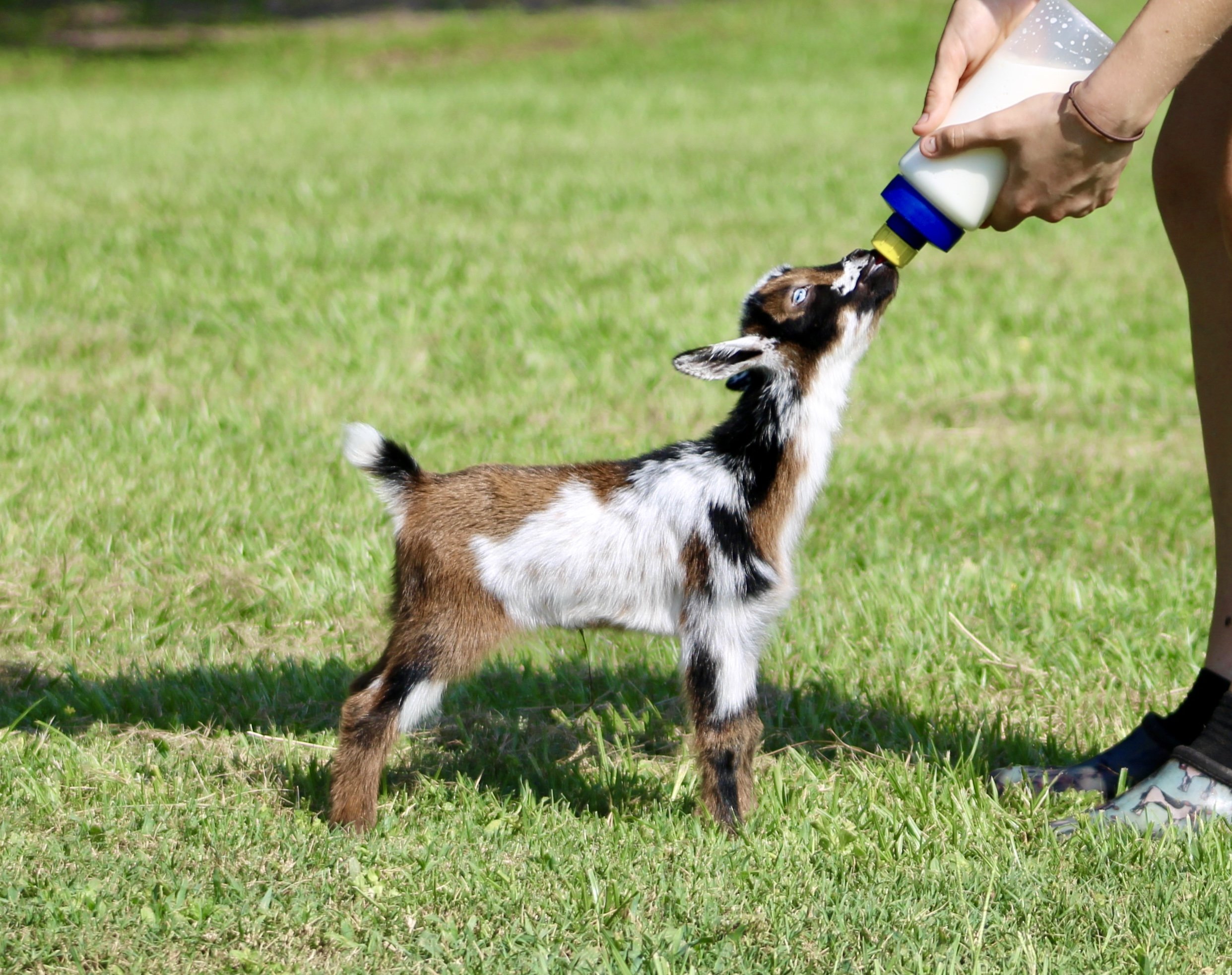 Starry kid bottle.jpg