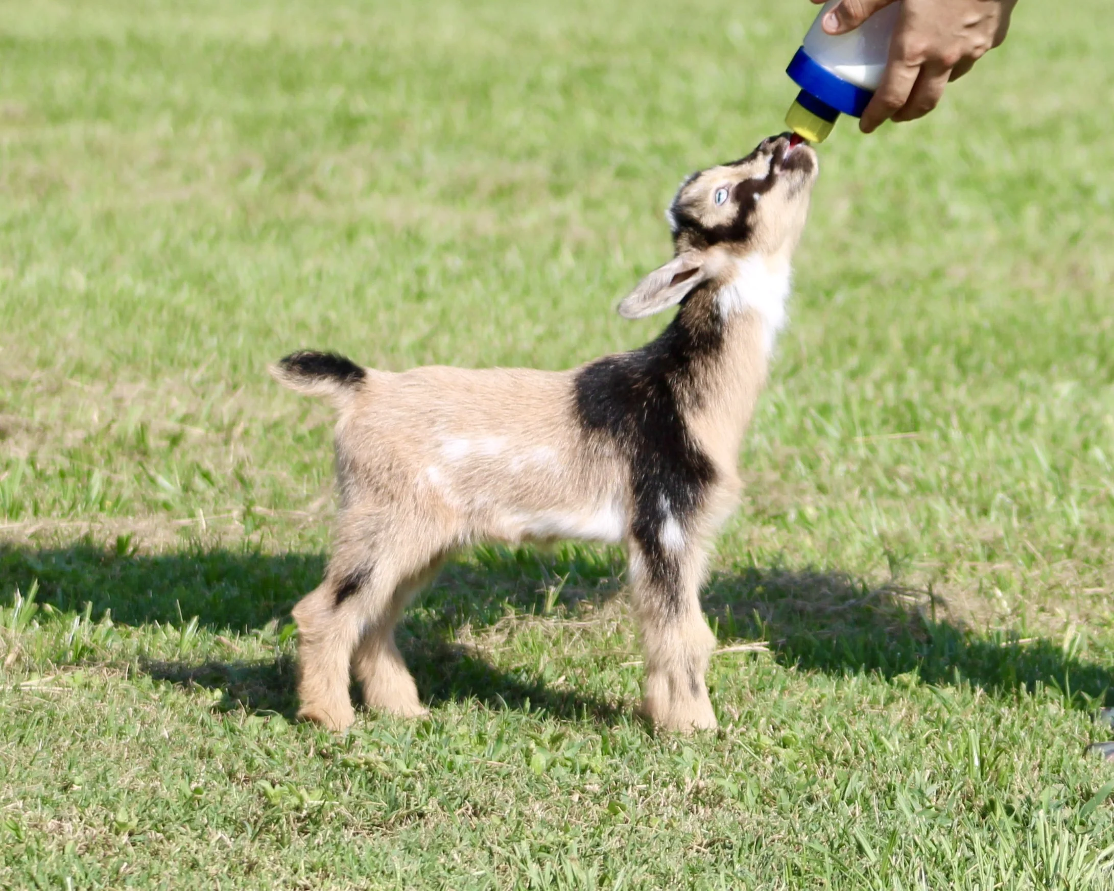 Rory Kid bottle.jpg