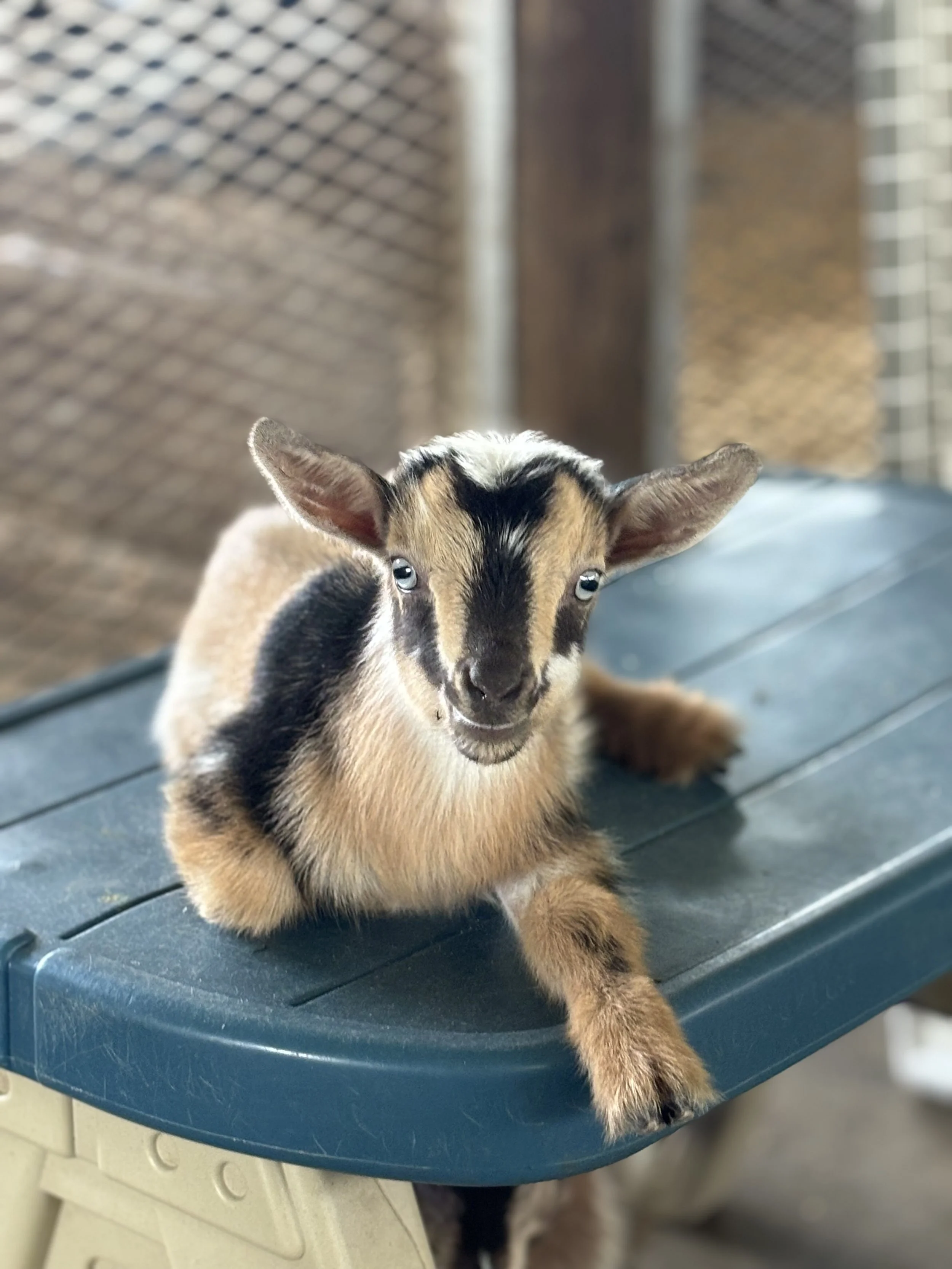 Rory kid chillin.jpg