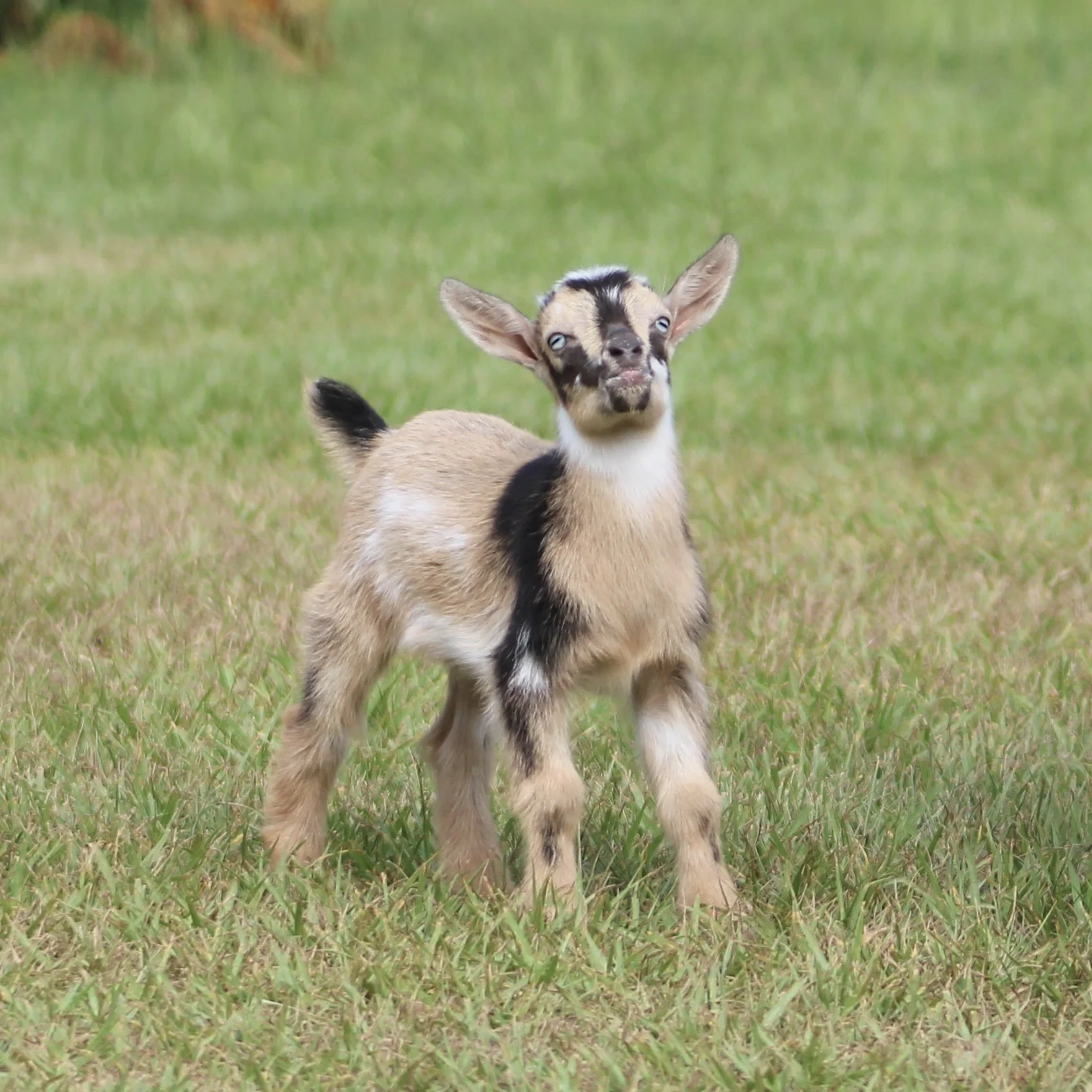 Rory kid front angle.jpg