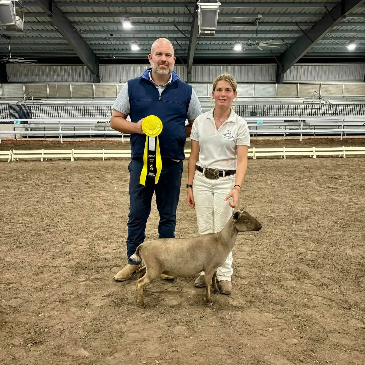 Dollop Jr Champ.jpeg