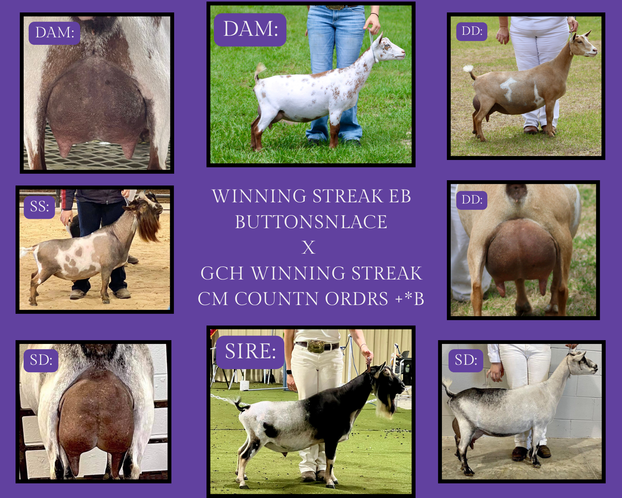 Copy of White Clean and Minimal Friendship Photo Collage.zip - 23.PNG