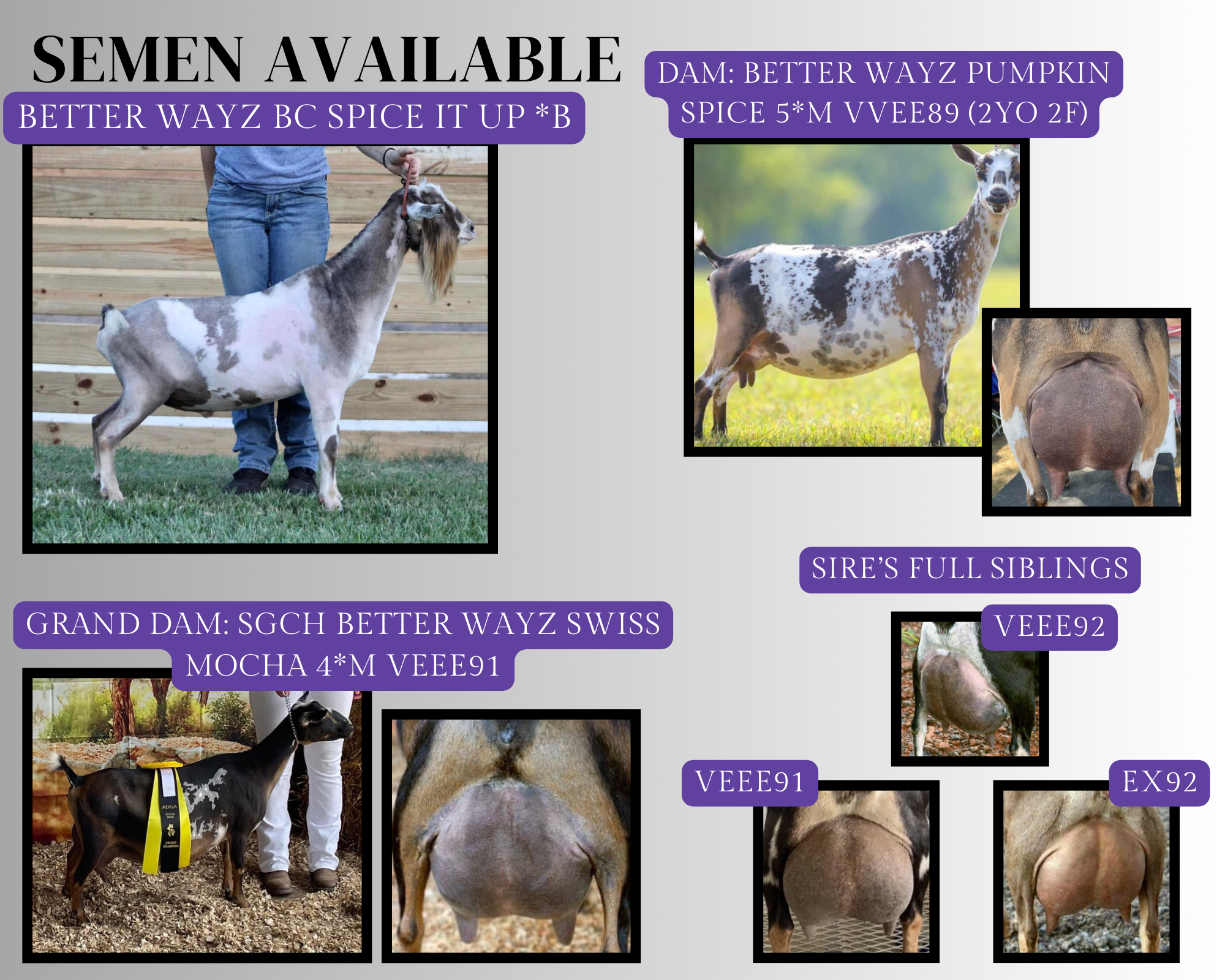 White Clean and Minimal Friendship Photo Collage.zip - 5.PNG