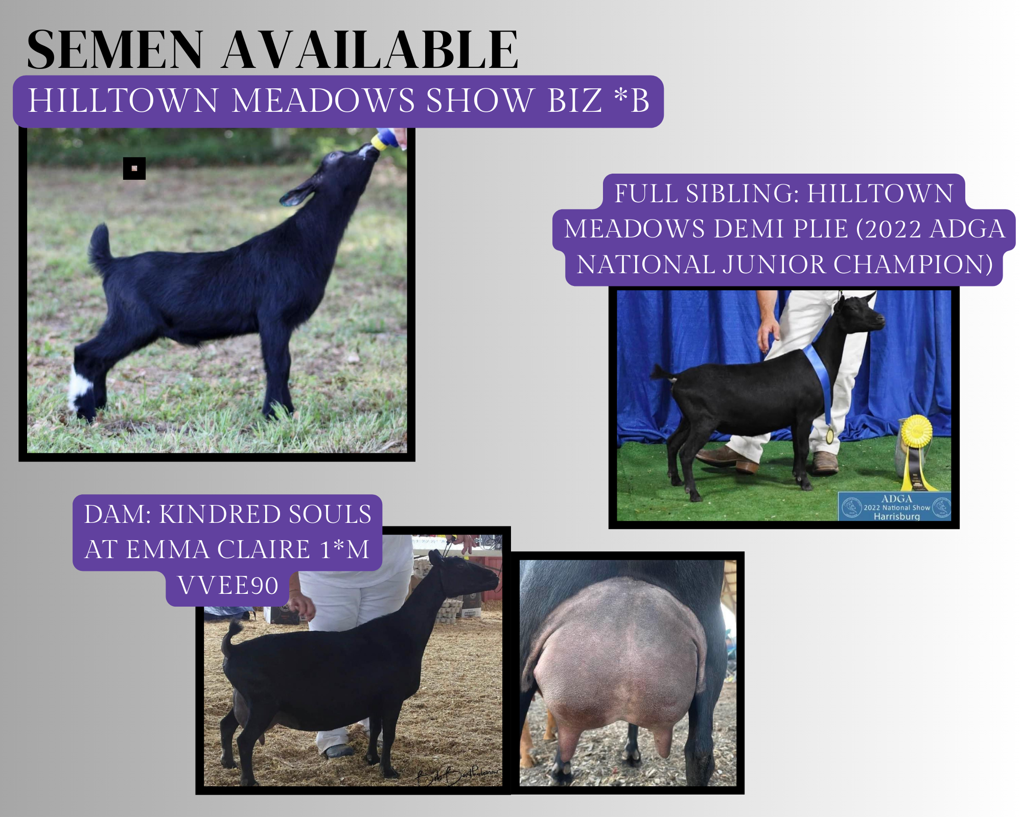 White Clean and Minimal Friendship Photo Collage.zip - 9.PNG