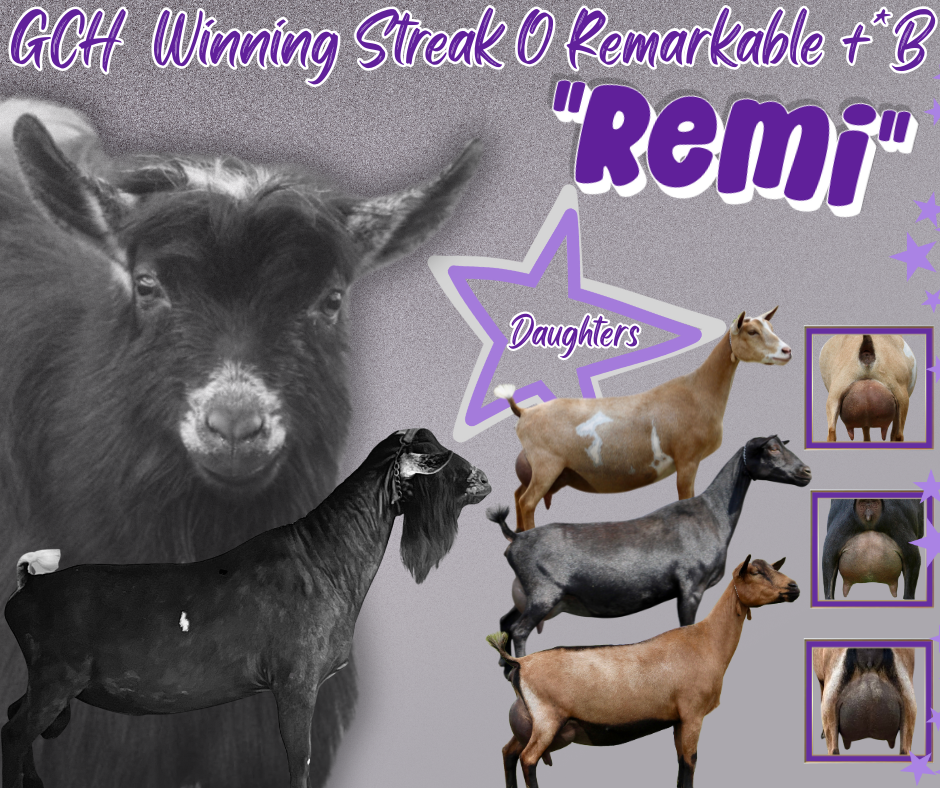 Winning Streak O Remarkable.png.PNG