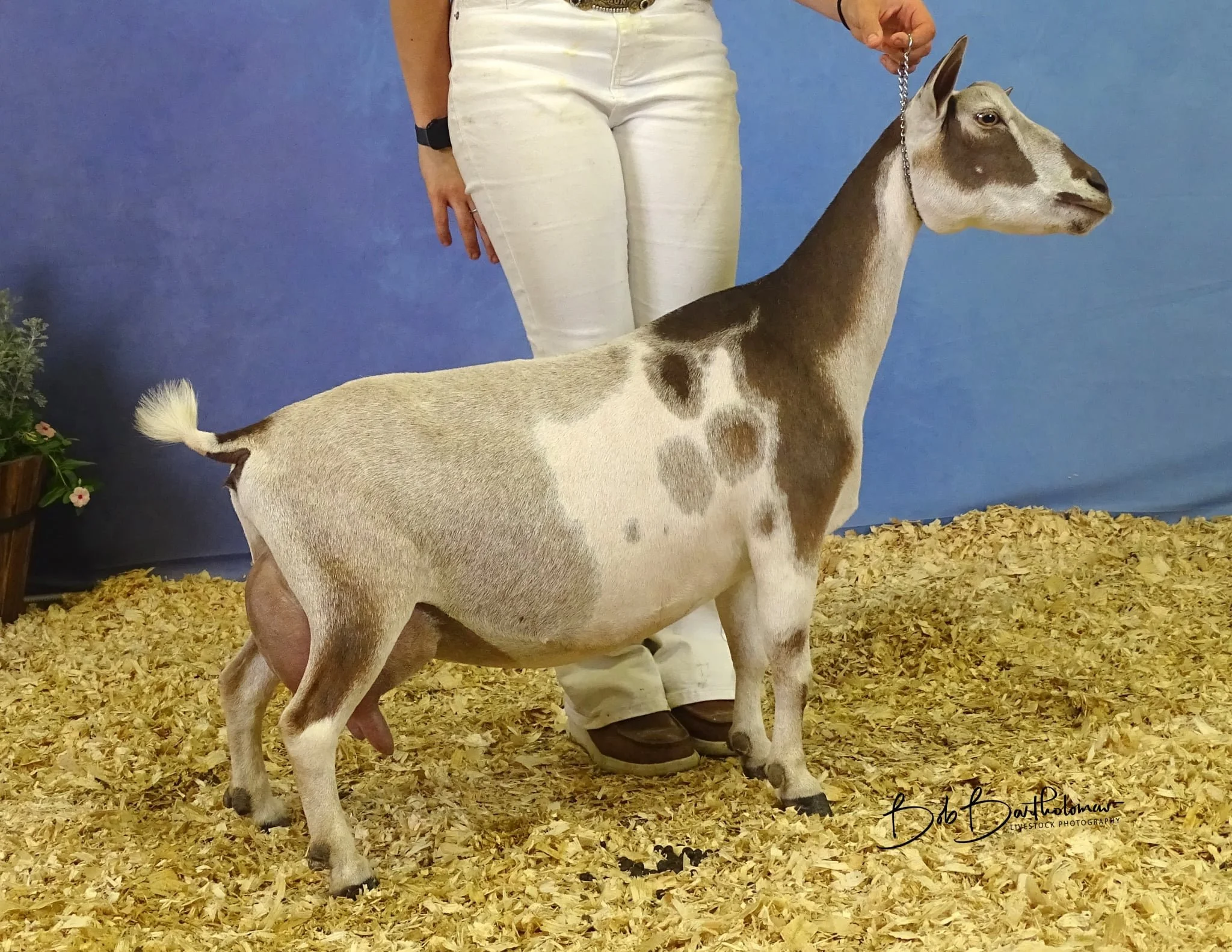 att.dtB2M-bnnGntA22PSB7GaHZUaRjMrJTkMHEYSXLcvLA (1).JPG