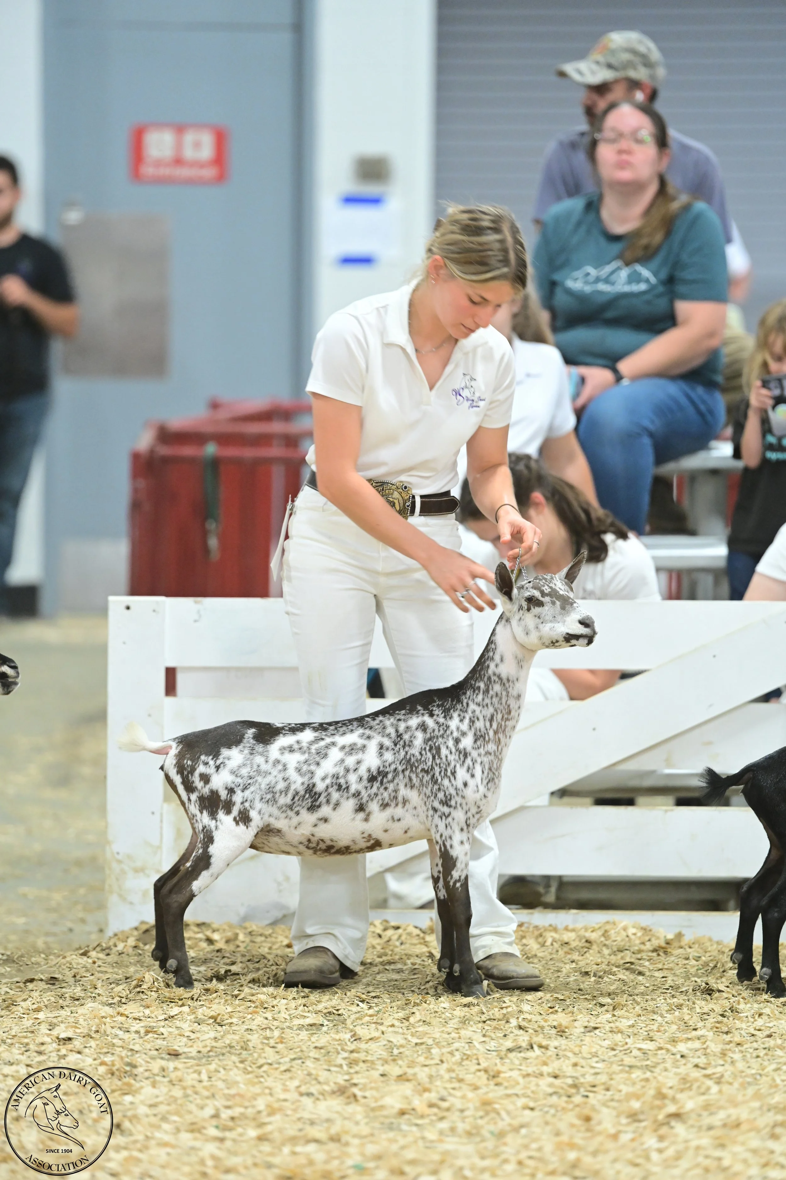 Starfish 2024 Nationals ring.JPG