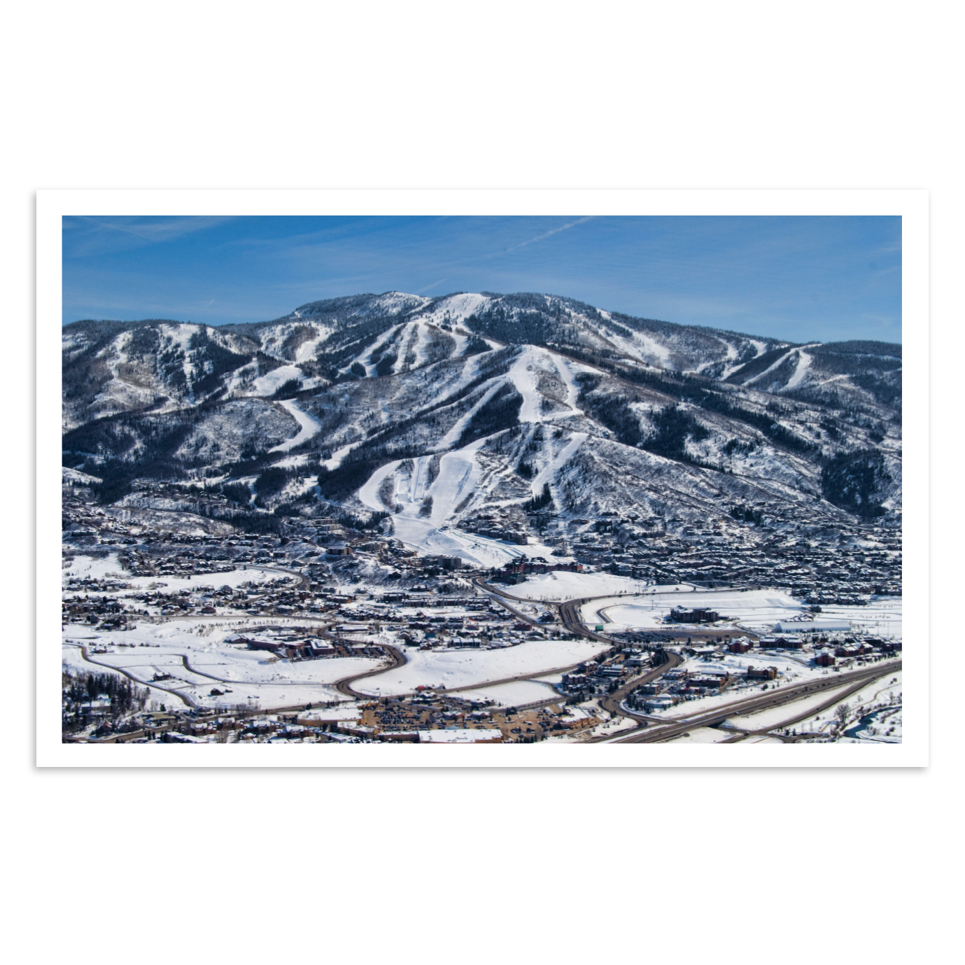 Bluebird