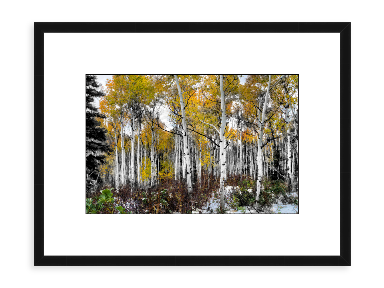 Painted-Aspens.png